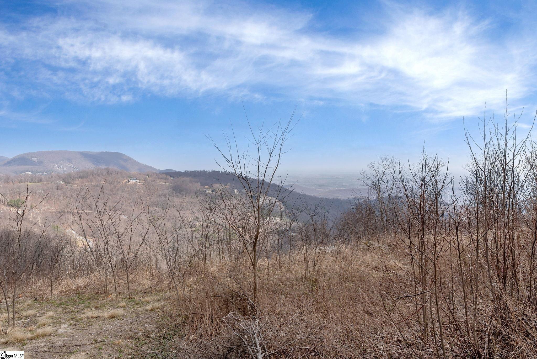 99 The Cliffs Parkway photo 5