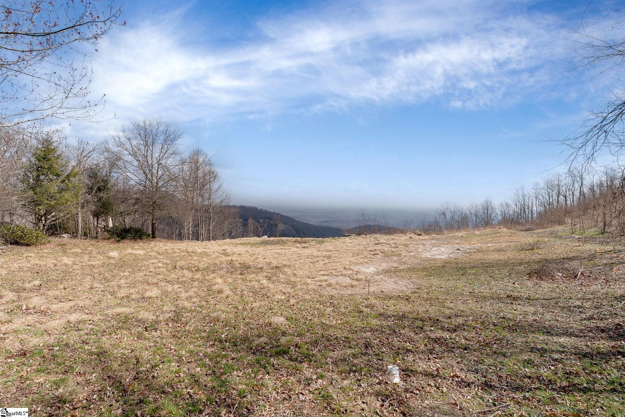 99 The Cliffs Parkway photo 6