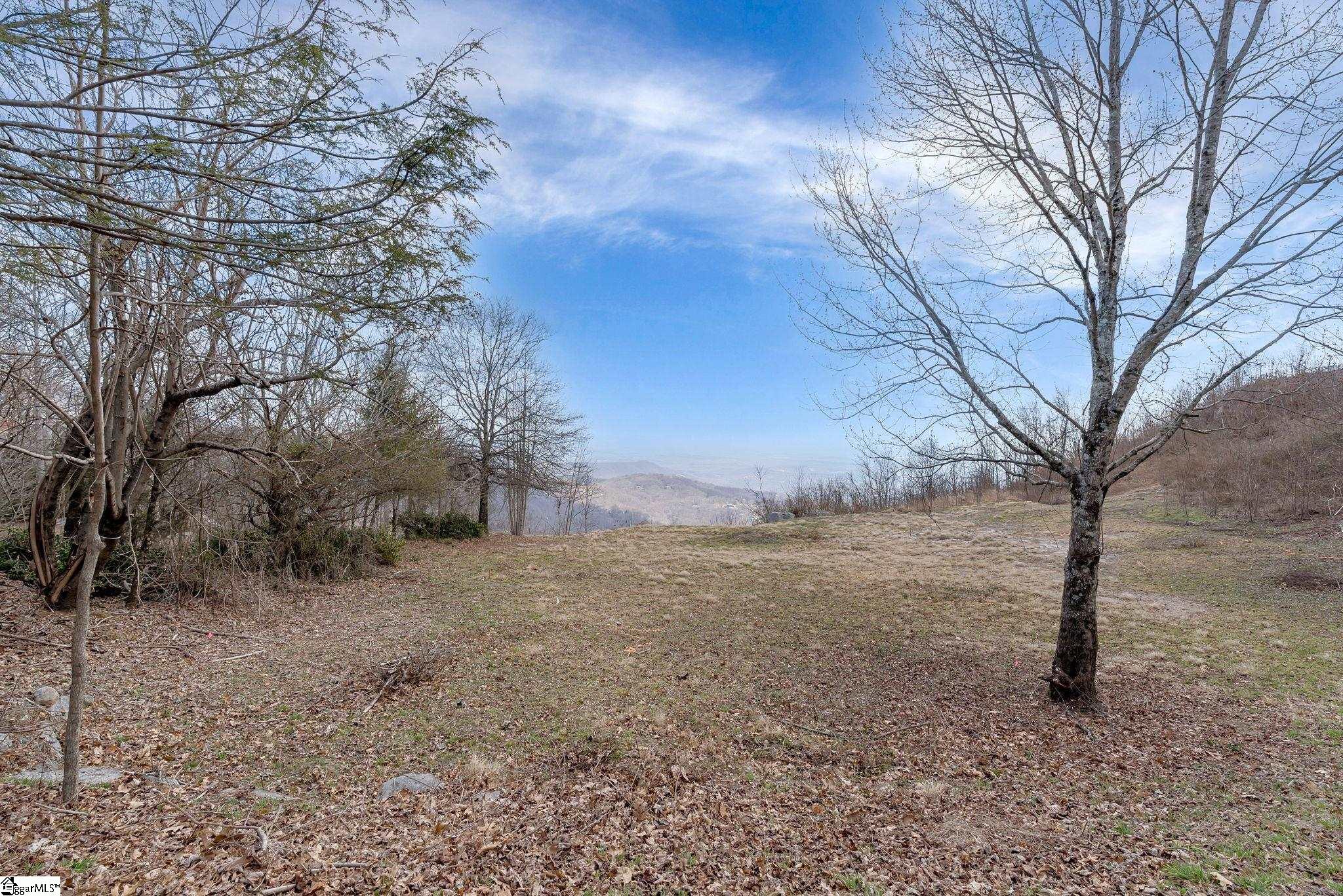 99 The Cliffs Parkway photo 7
