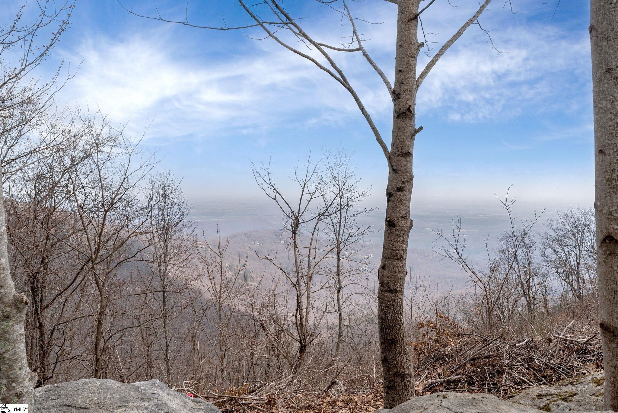 97 The Cliffs Parkway photo 3