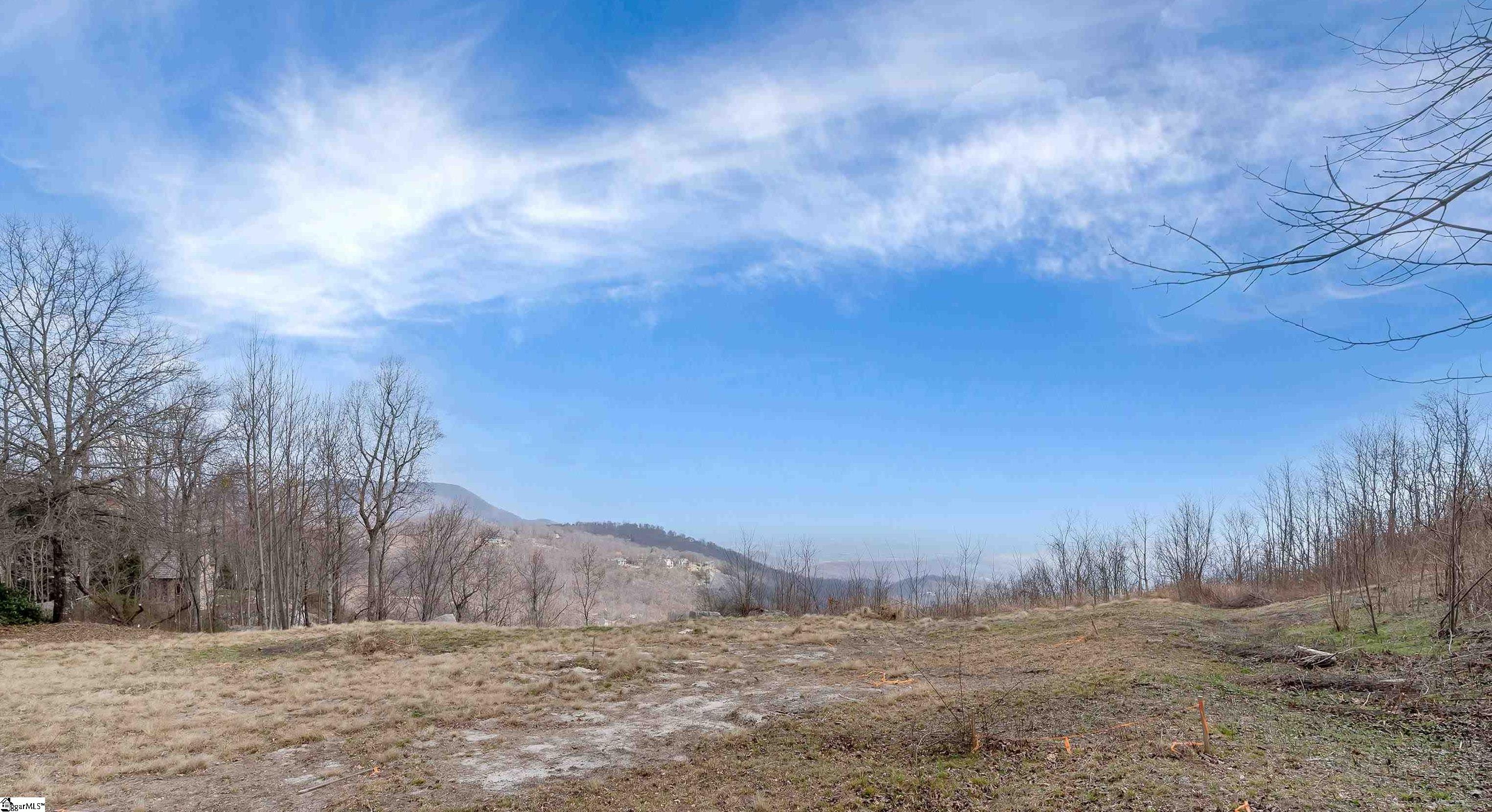97 The Cliffs Parkway photo 4