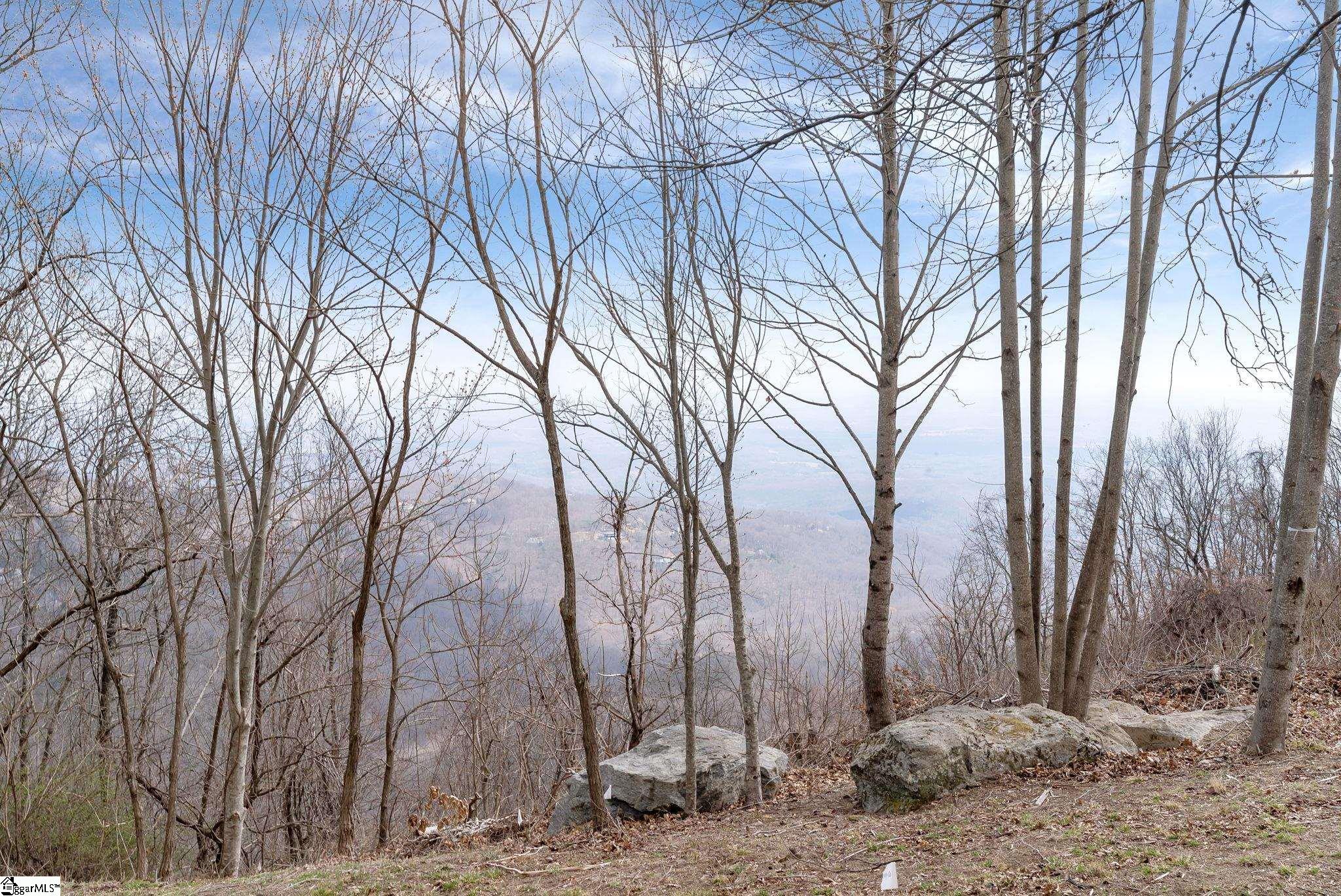 97 The Cliffs Parkway photo 5