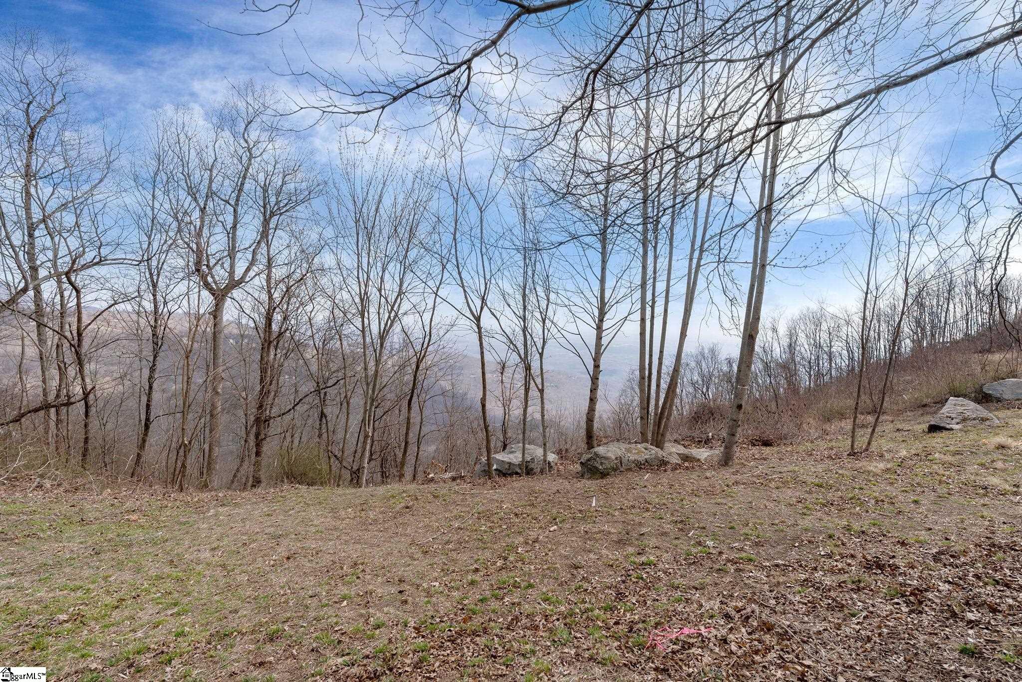 97 The Cliffs Parkway photo 6