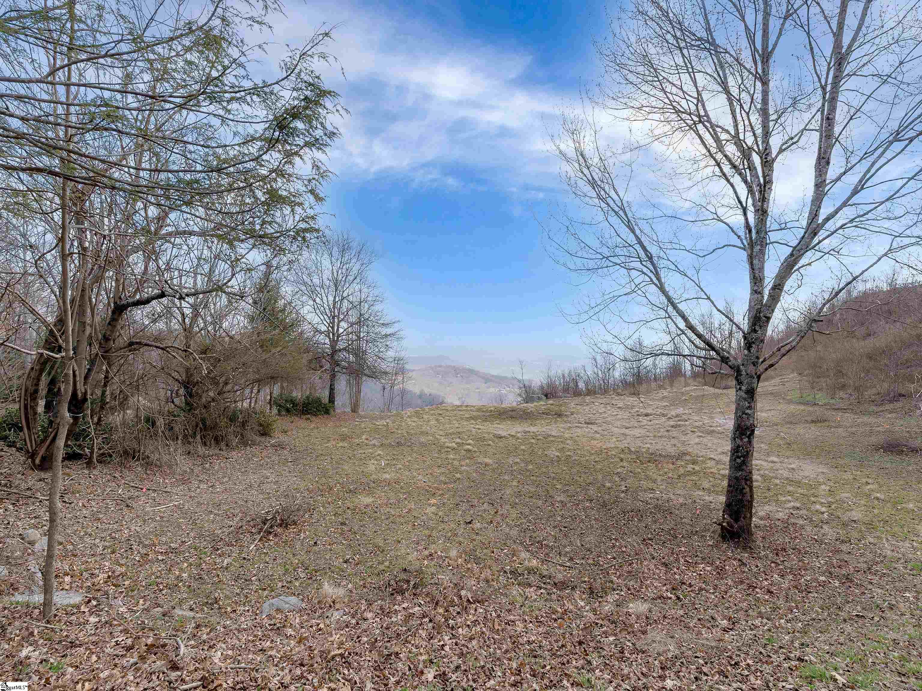 97 The Cliffs Parkway photo 7