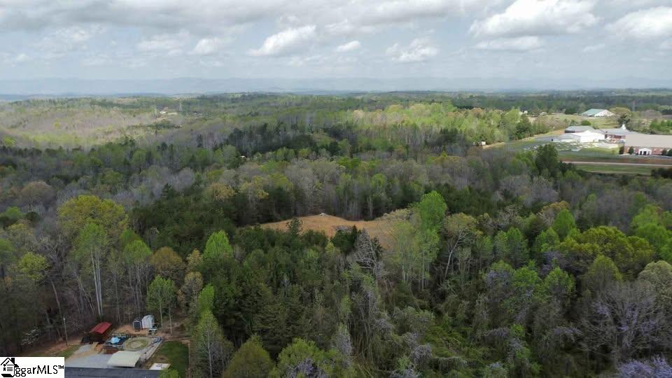 Layton Drive Greenville, SC 29617