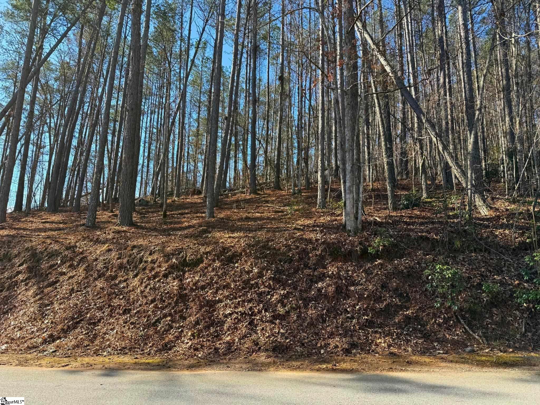 123 Stillwater Court Sunset, SC 29685-1765