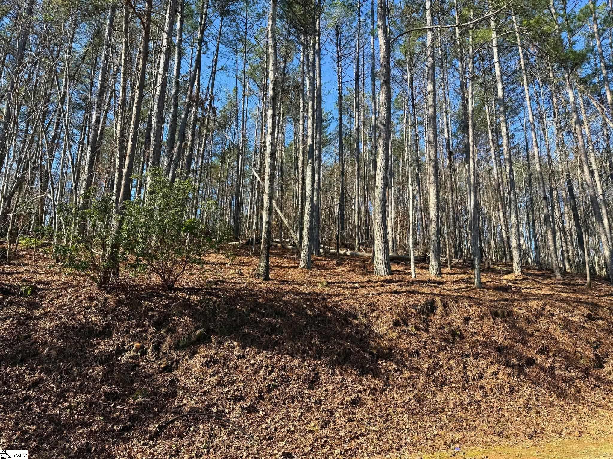 123 Stillwater Court Sunset, SC 29685-1765
