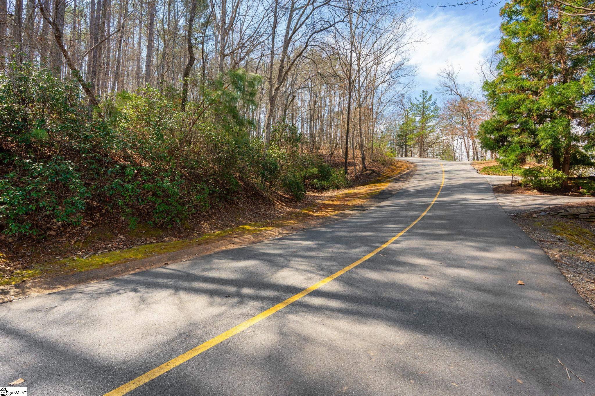 123 Stillwater Court Sunset, SC 29685-1765
