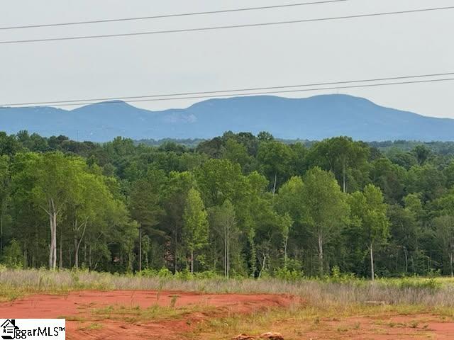 216 Emerald Creek Avenue Greer, SC 29651