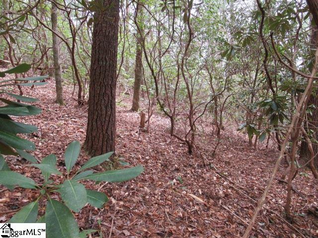 315 Falcon Crest Way photo 2