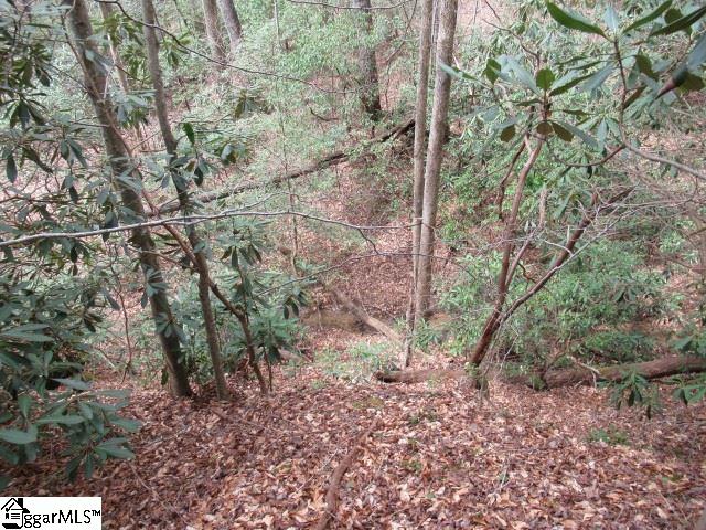 315 Falcon Crest Way photo 3