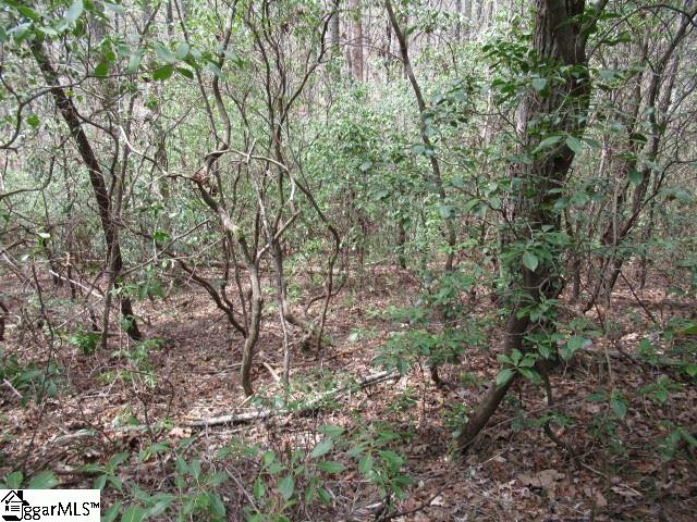 315 Falcon Crest Way photo 4