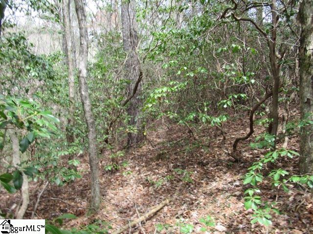 315 Falcon Crest Way photo 8