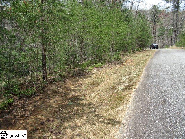315 Falcon Crest Way photo 10
