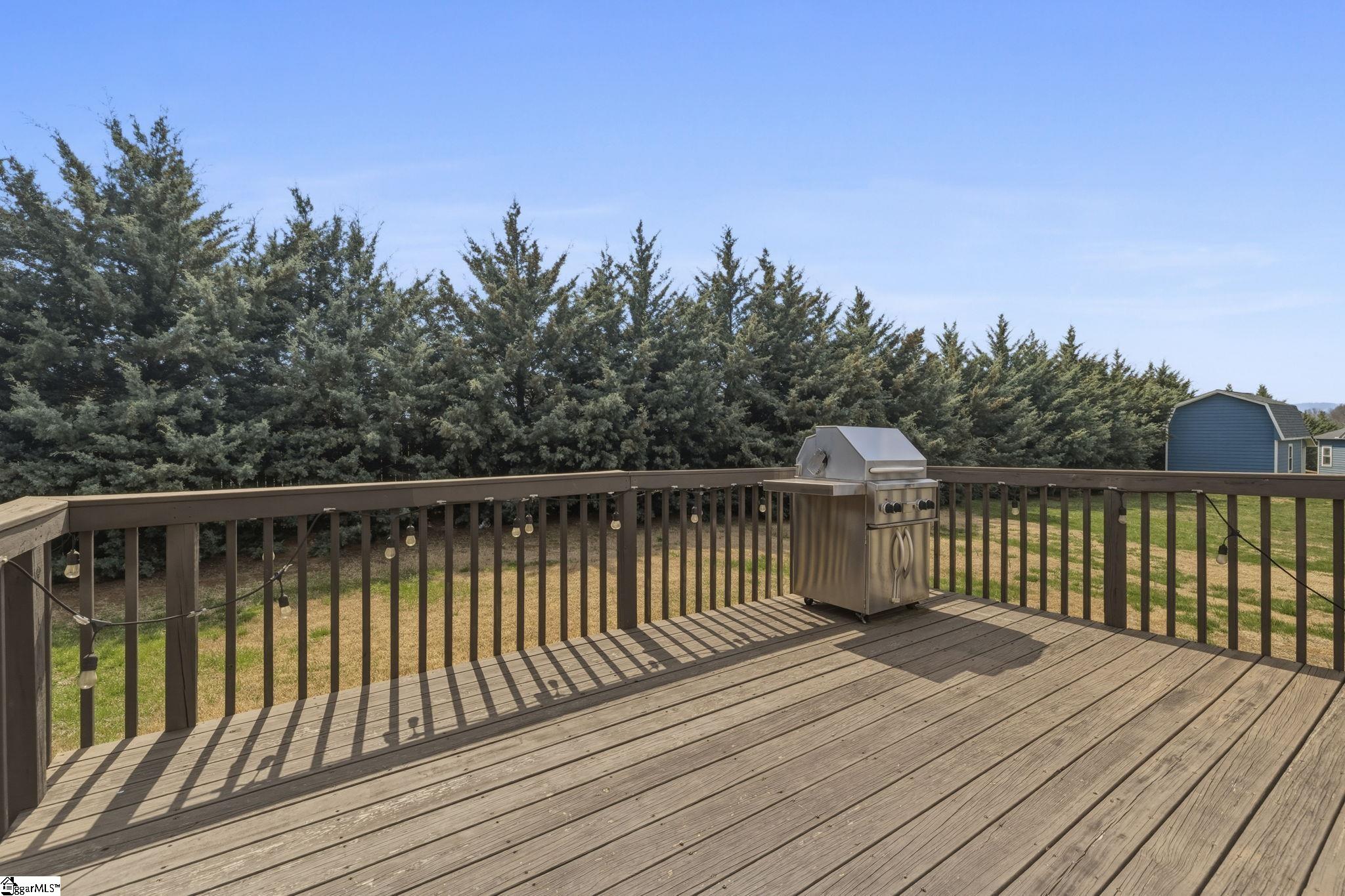 306 Elyan Court, Taylors, SC, 29687