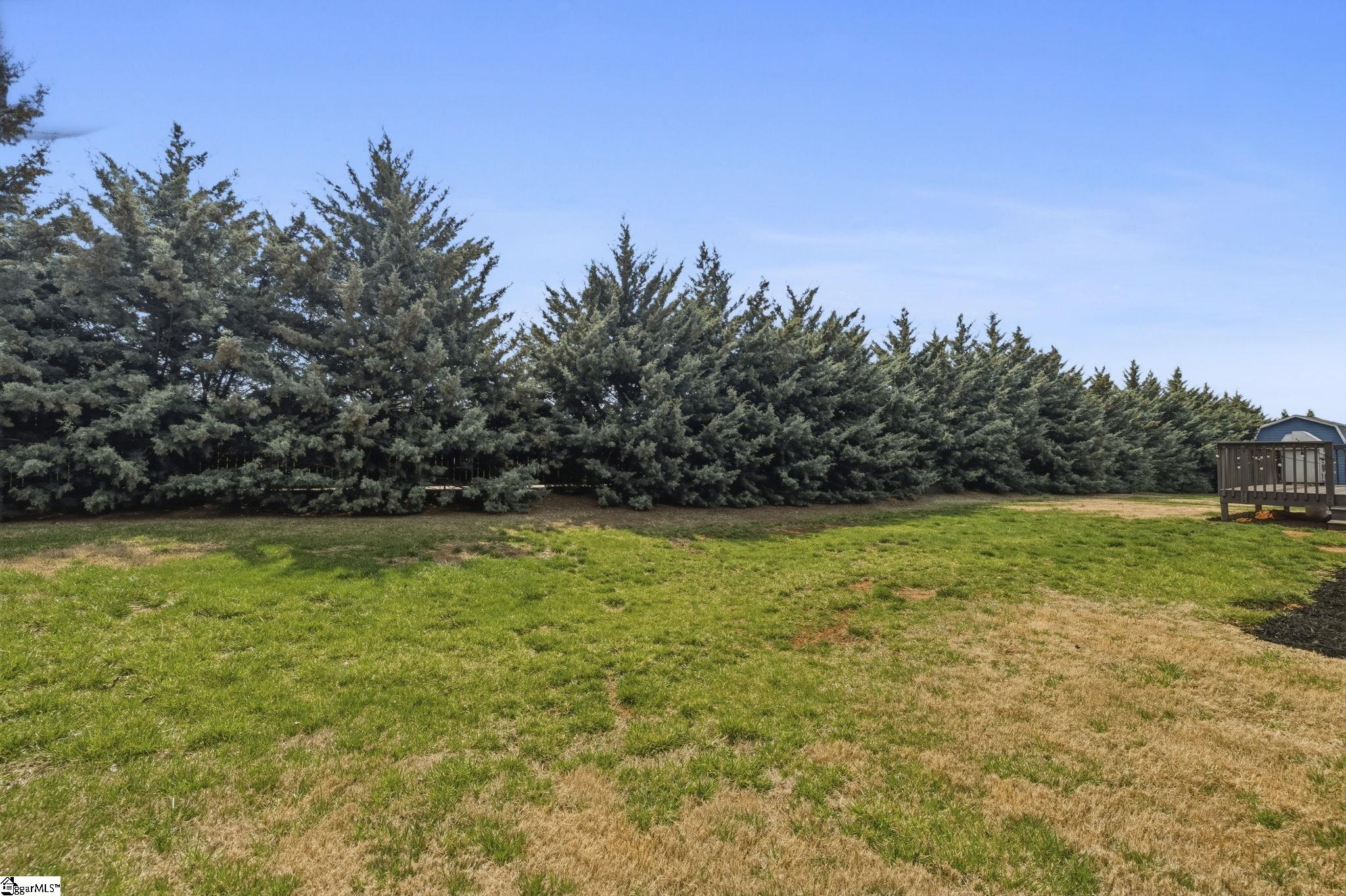 306 Elyan Court, Taylors, SC, 29687