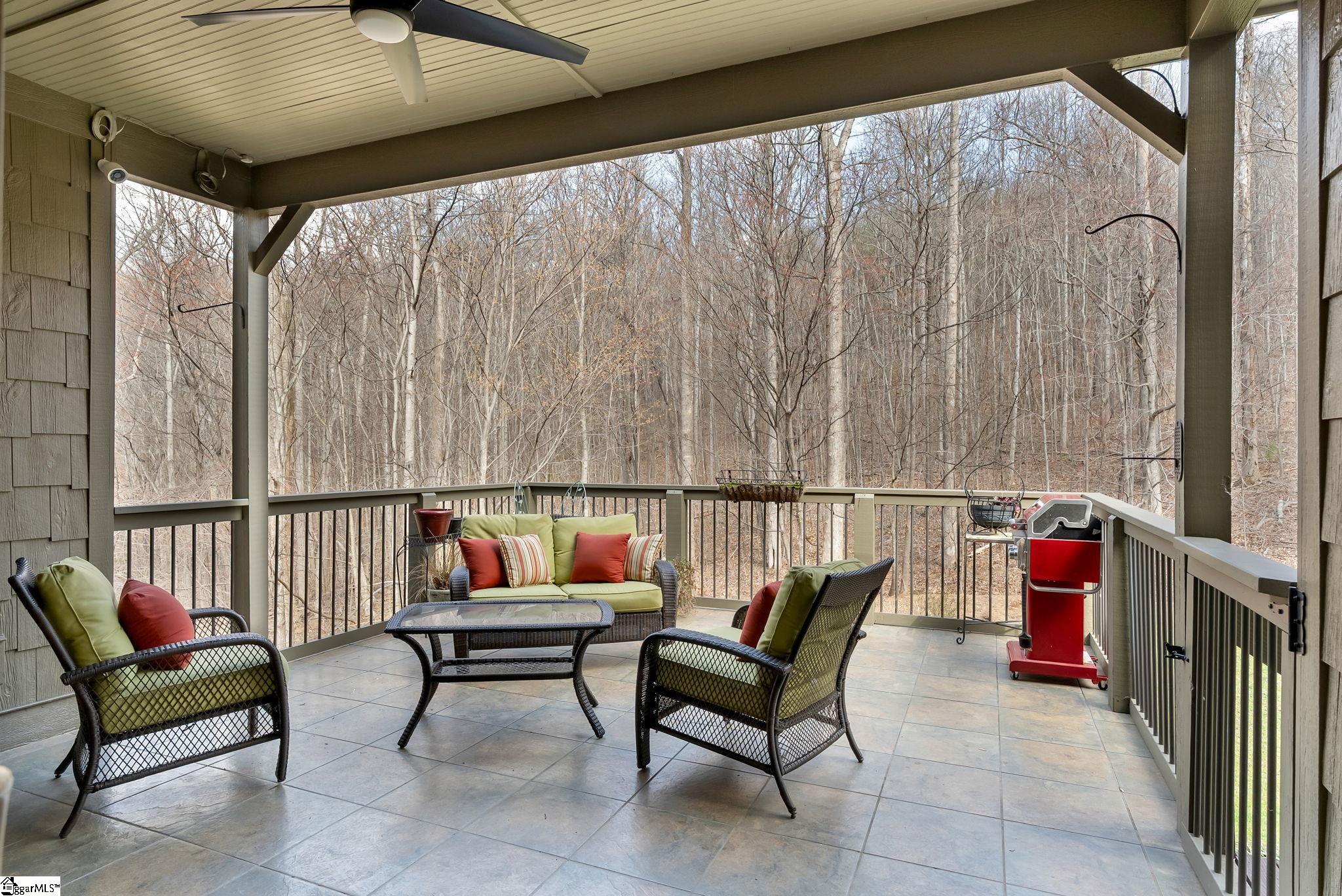 6 Goldeneye Court Landrum, SC 29356