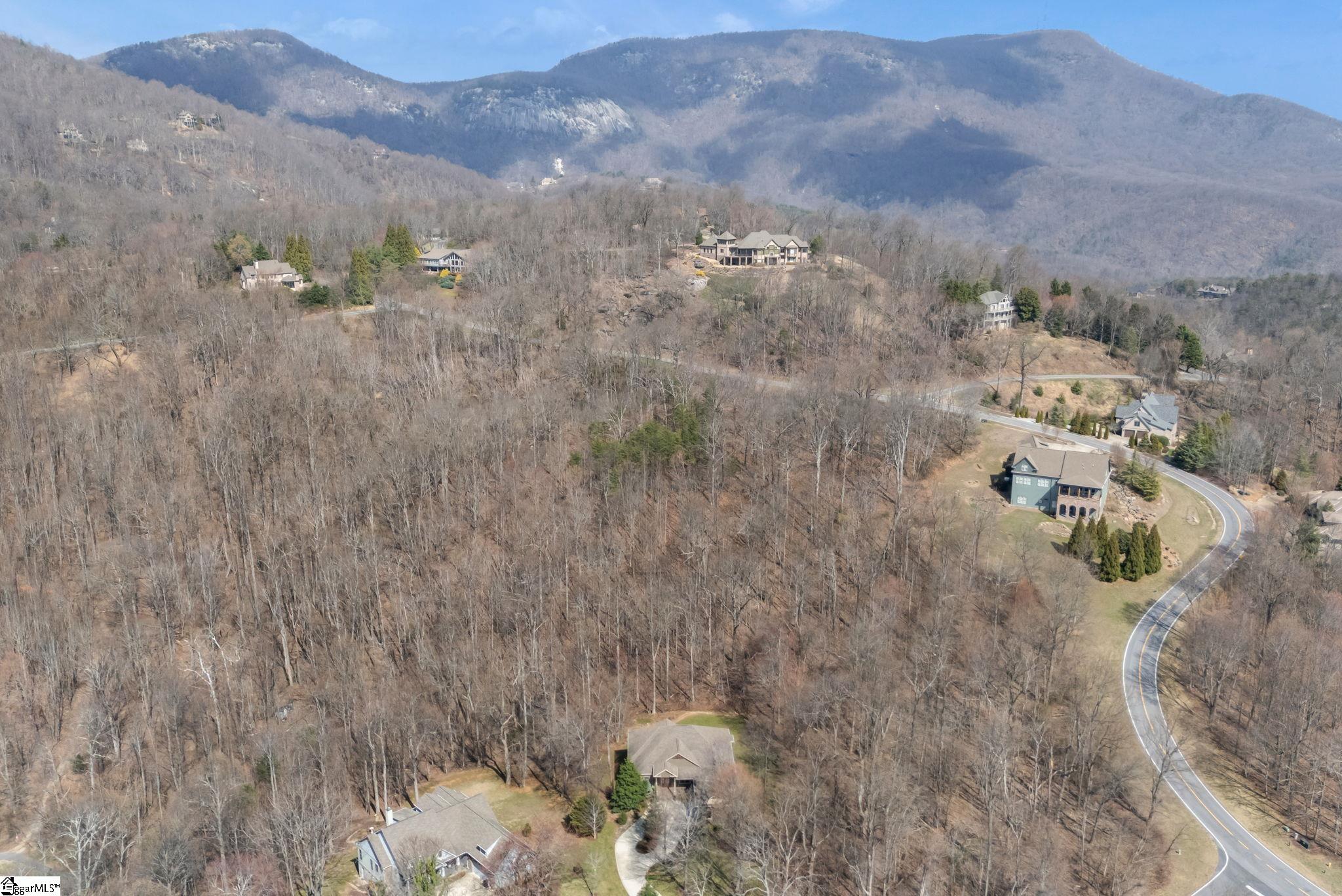 Homes for sale in Landrum, SC | 6 Goldeneye Ct, Landrum, SC 29356 | MLS# 1584794