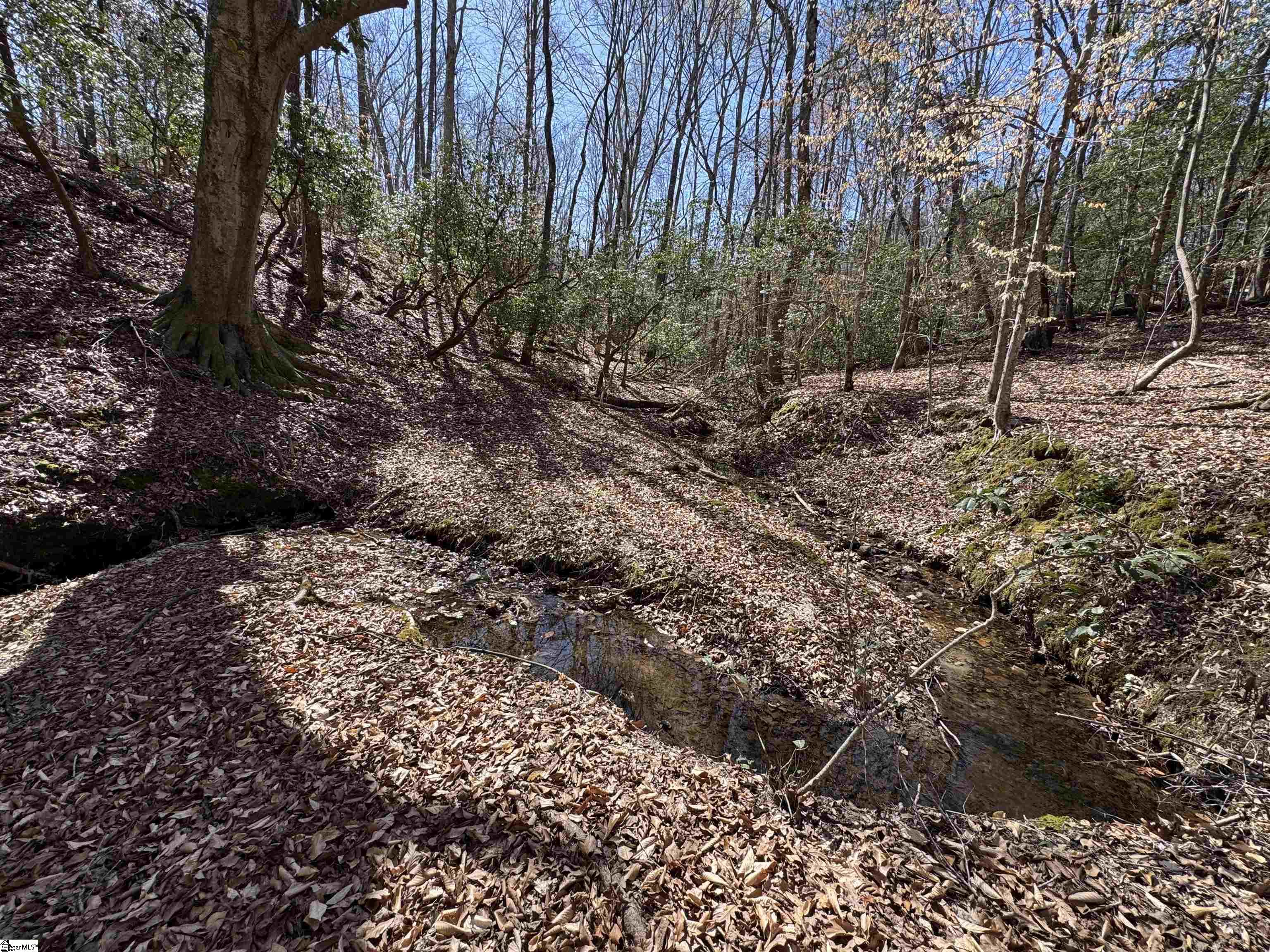 00 Golden Hickory Drive Anderson, SC 29621