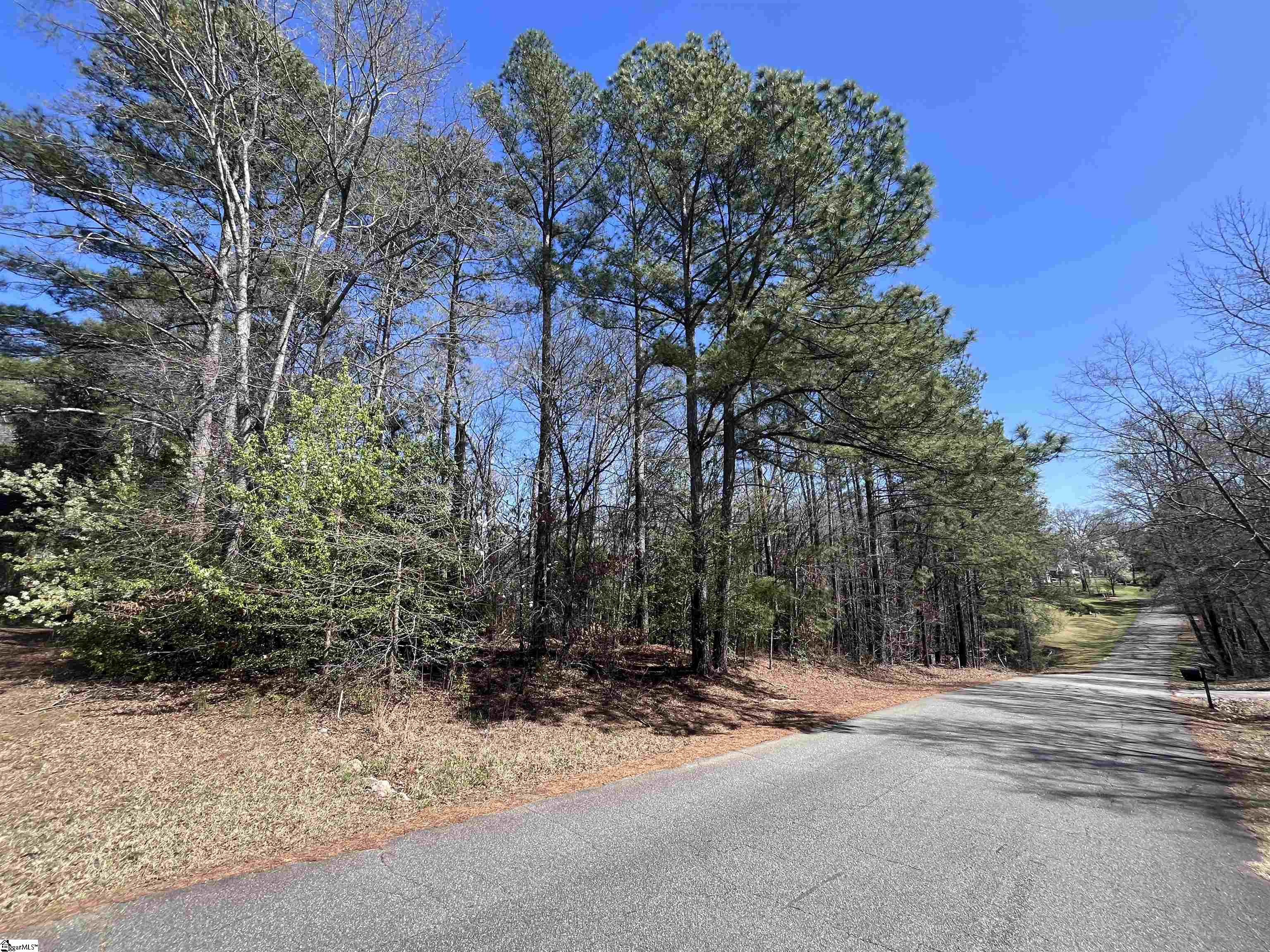 00 Golden Hickory Drive Anderson, SC 29621
