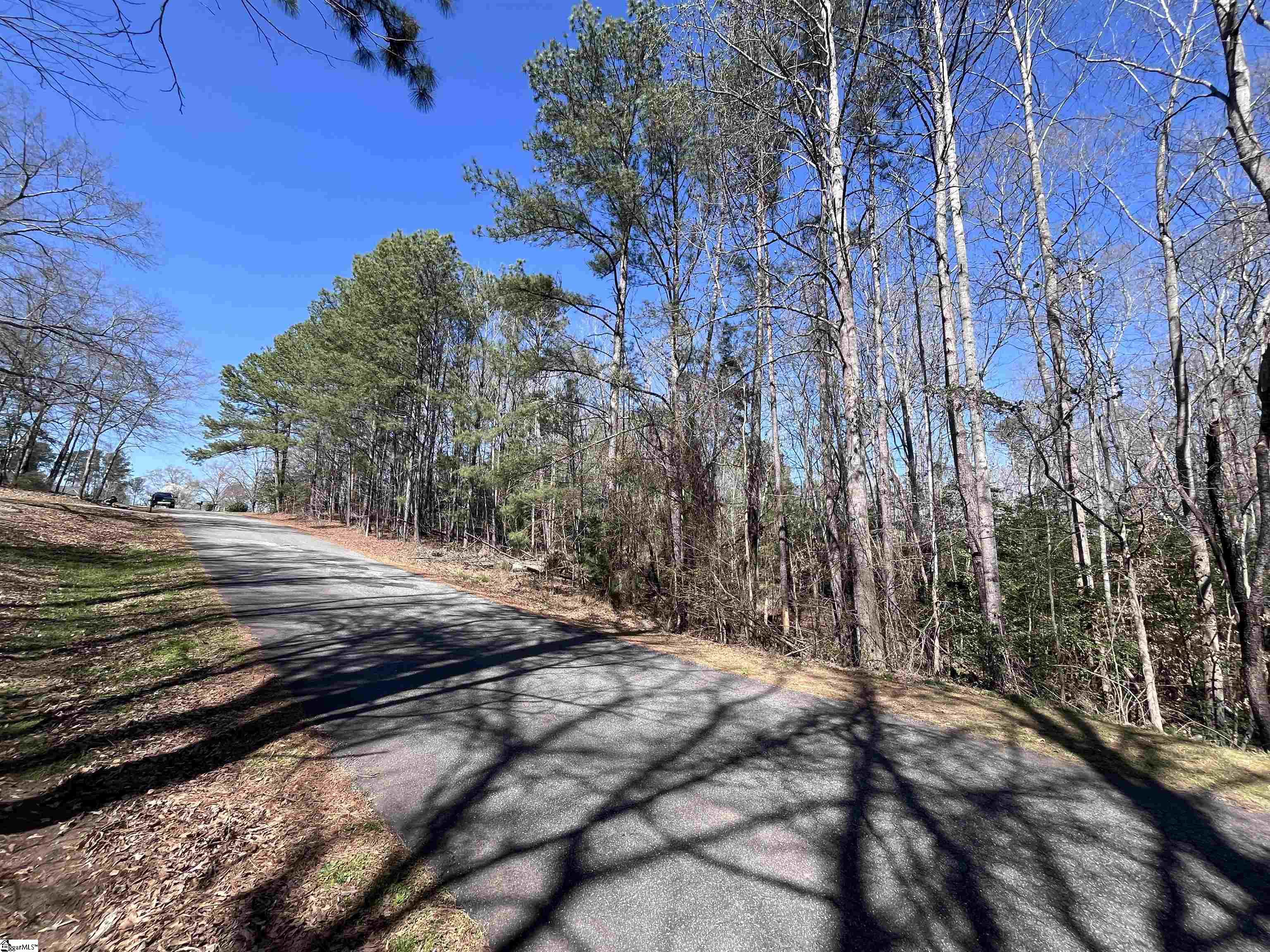 00 Golden Hickory Drive Anderson, SC 29621