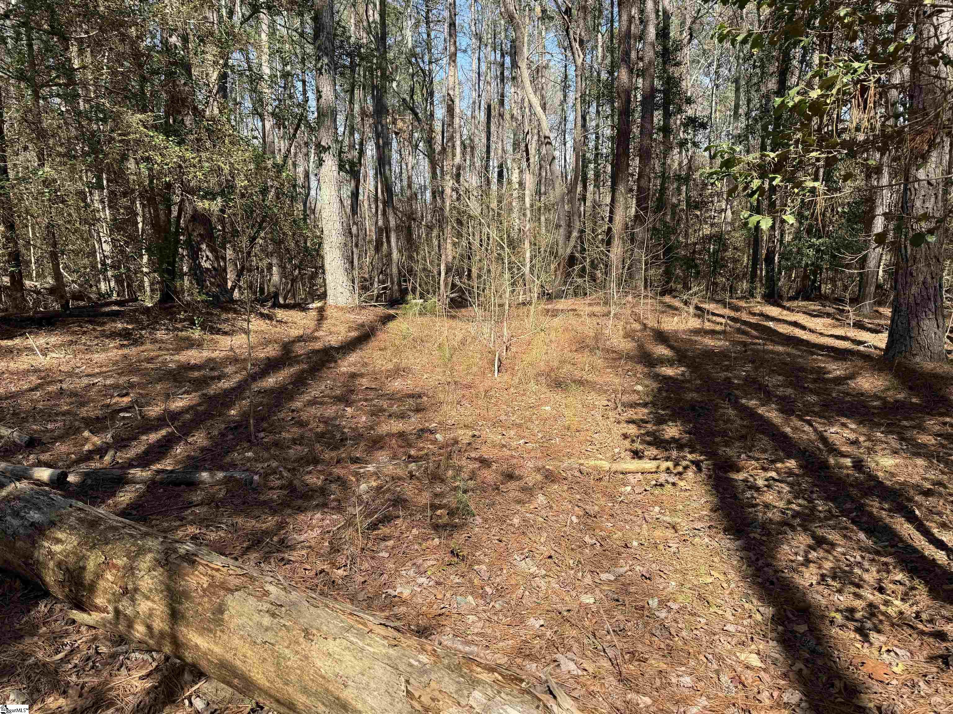 00 Golden Hickory Drive Anderson, SC 29621