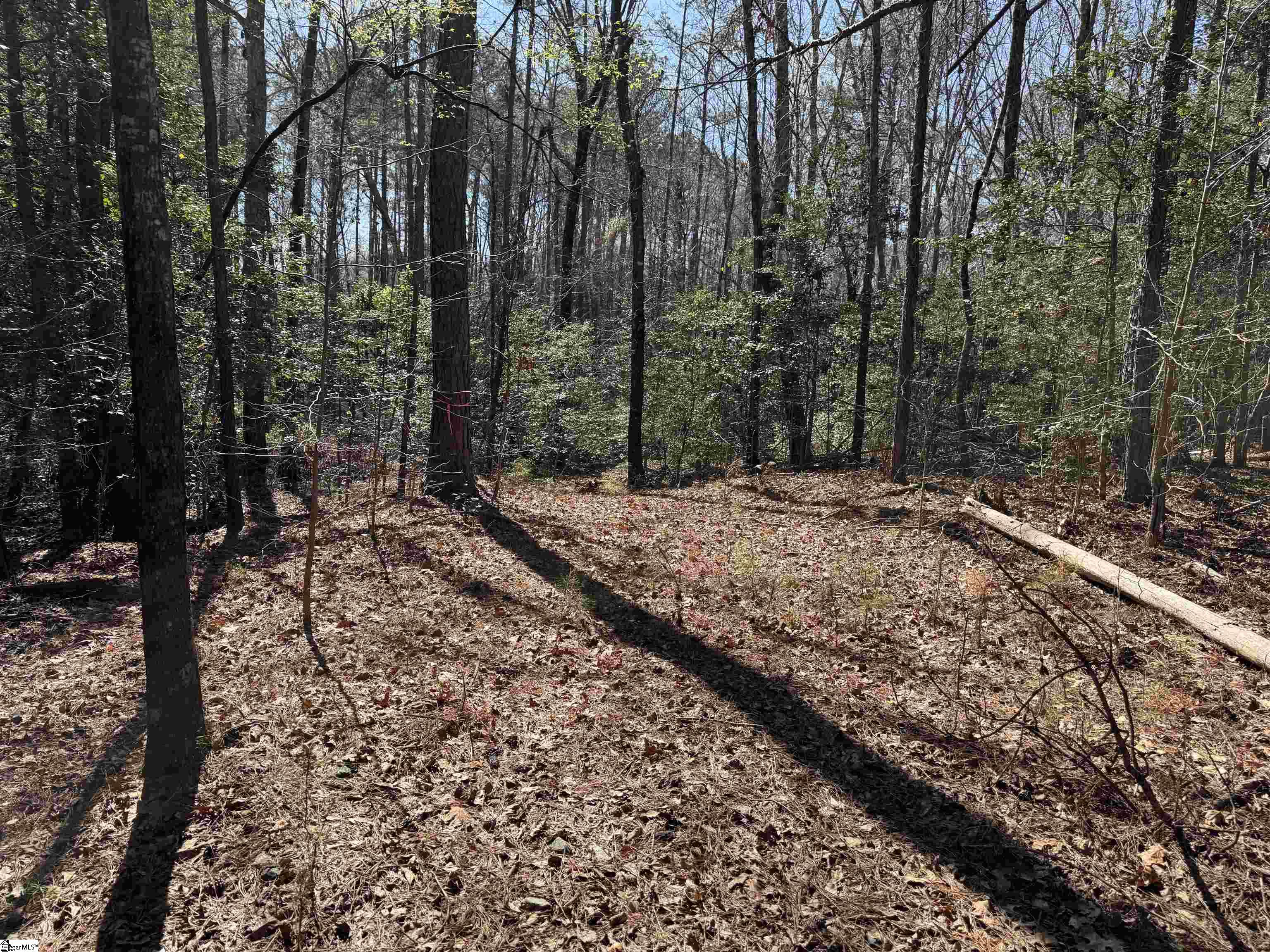 00 Golden Hickory Drive Anderson, SC 29621