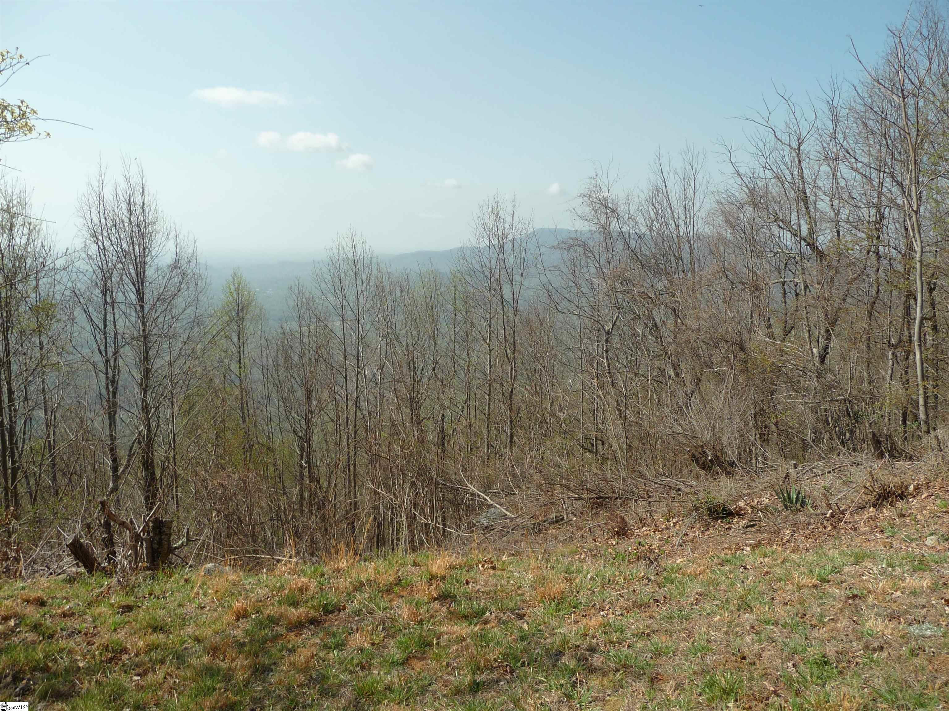 3605 Skyuka Mountain Road Columbus, NC 28722