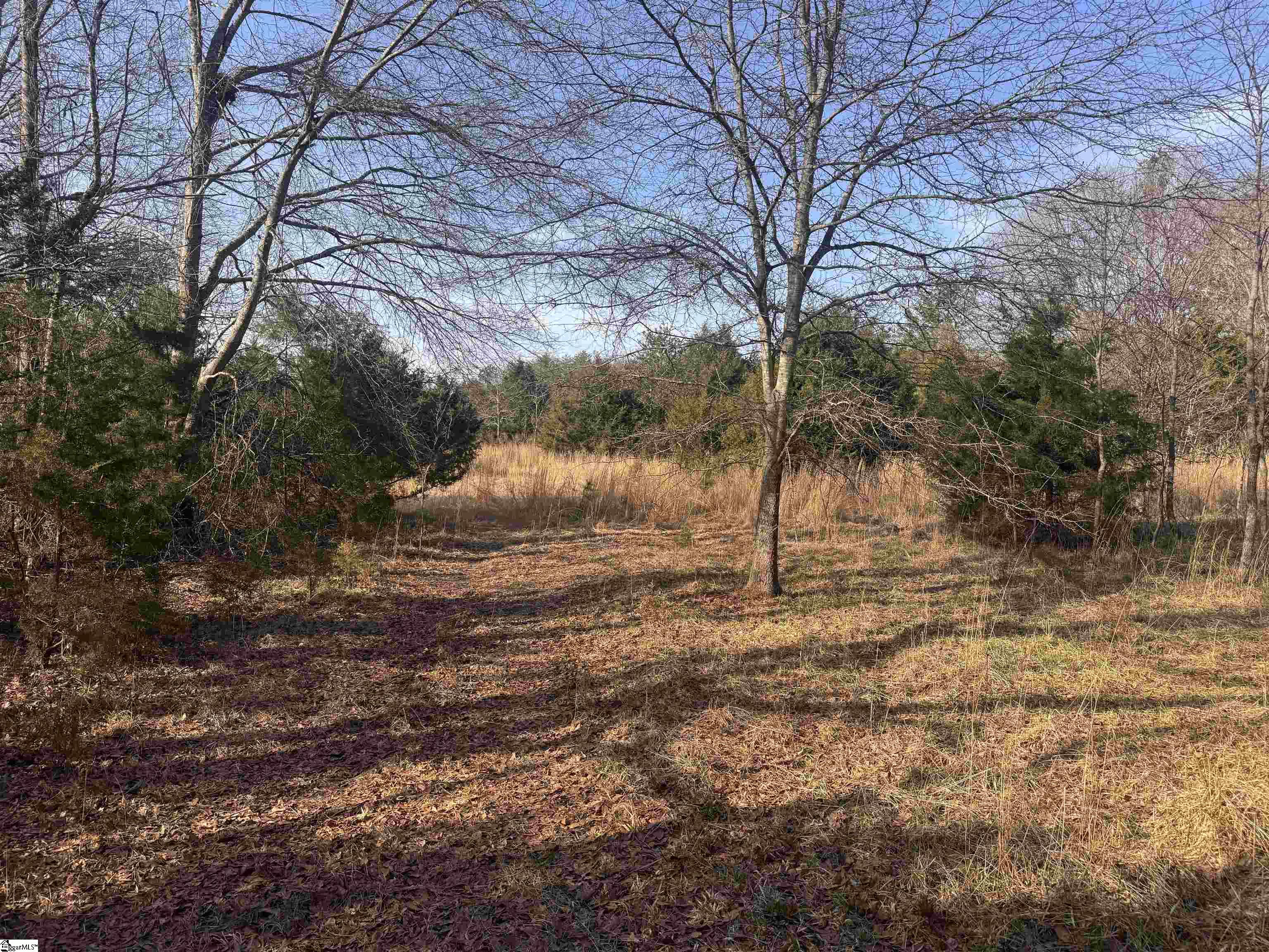 Homes for sale in Pauline, SC | 1491 Harrelson Rd, Pauline, SC 29374 | MLS# 1585285