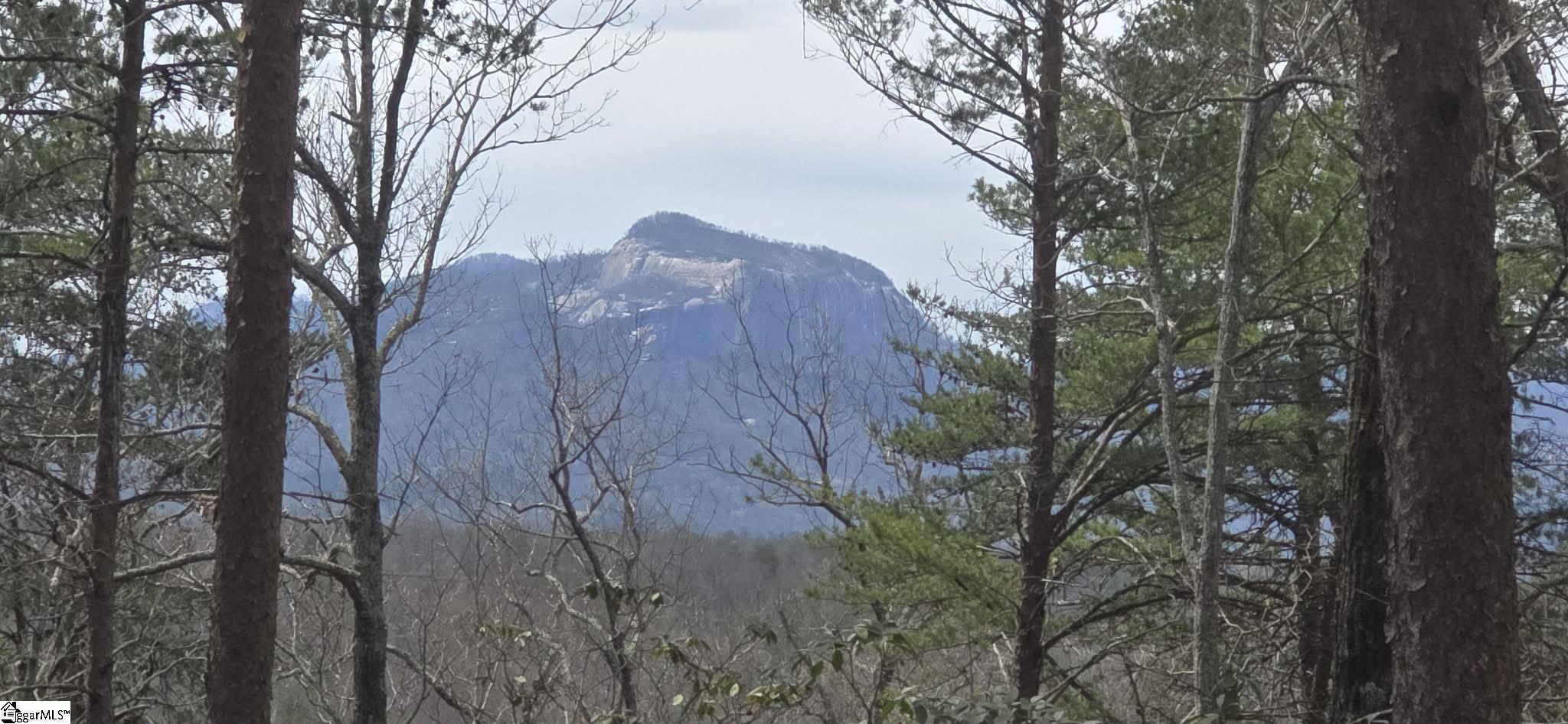 Homes for sale in Cleveland, SC | 00 Geer Hwy, Cleveland, SC 29635 | MLS# 1585515