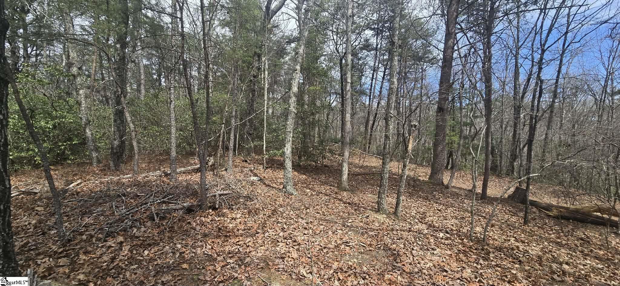 Homes for sale in Cleveland, SC | 00 Geer Hwy, Cleveland, SC 29635 | MLS# 1585515