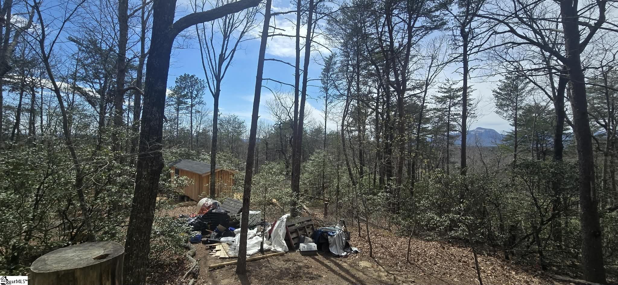 Homes for sale in Cleveland, SC | 00 Geer Hwy, Cleveland, SC 29635 | MLS# 1585515