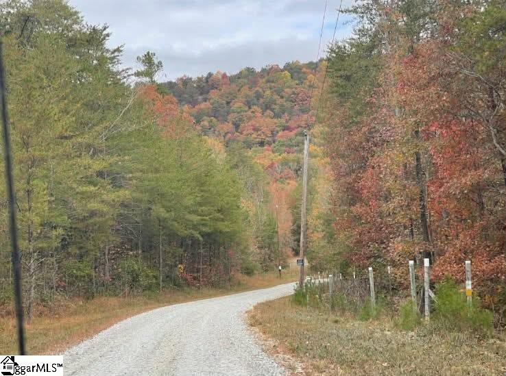 Homes for sale in Cleveland, SC | 00 Geer Hwy, Cleveland, SC 29635 | MLS# 1585515