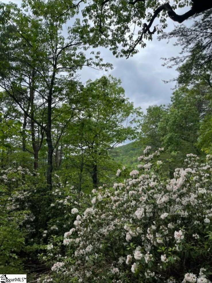 Homes for sale in Cleveland, SC | 00 Geer Hwy, Cleveland, SC 29635 | MLS# 1585515