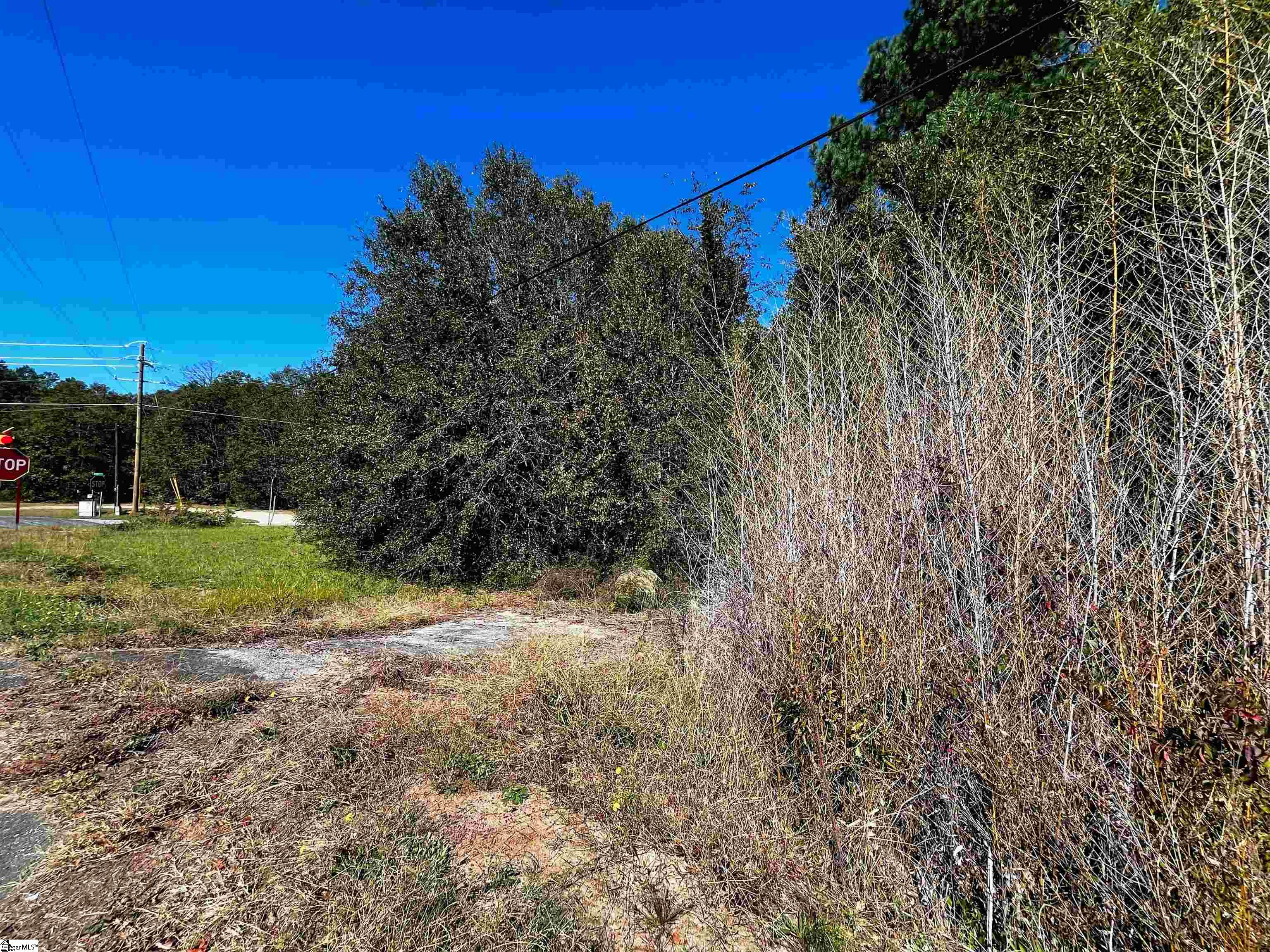 Homes for sale in Belton, SC | 00 Hwy 185, Belton, SC 29627 | MLS# 1585571