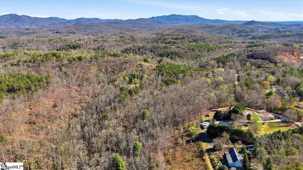 883 Goodwin Bridge Road, Travelers Rest, SC, 29690