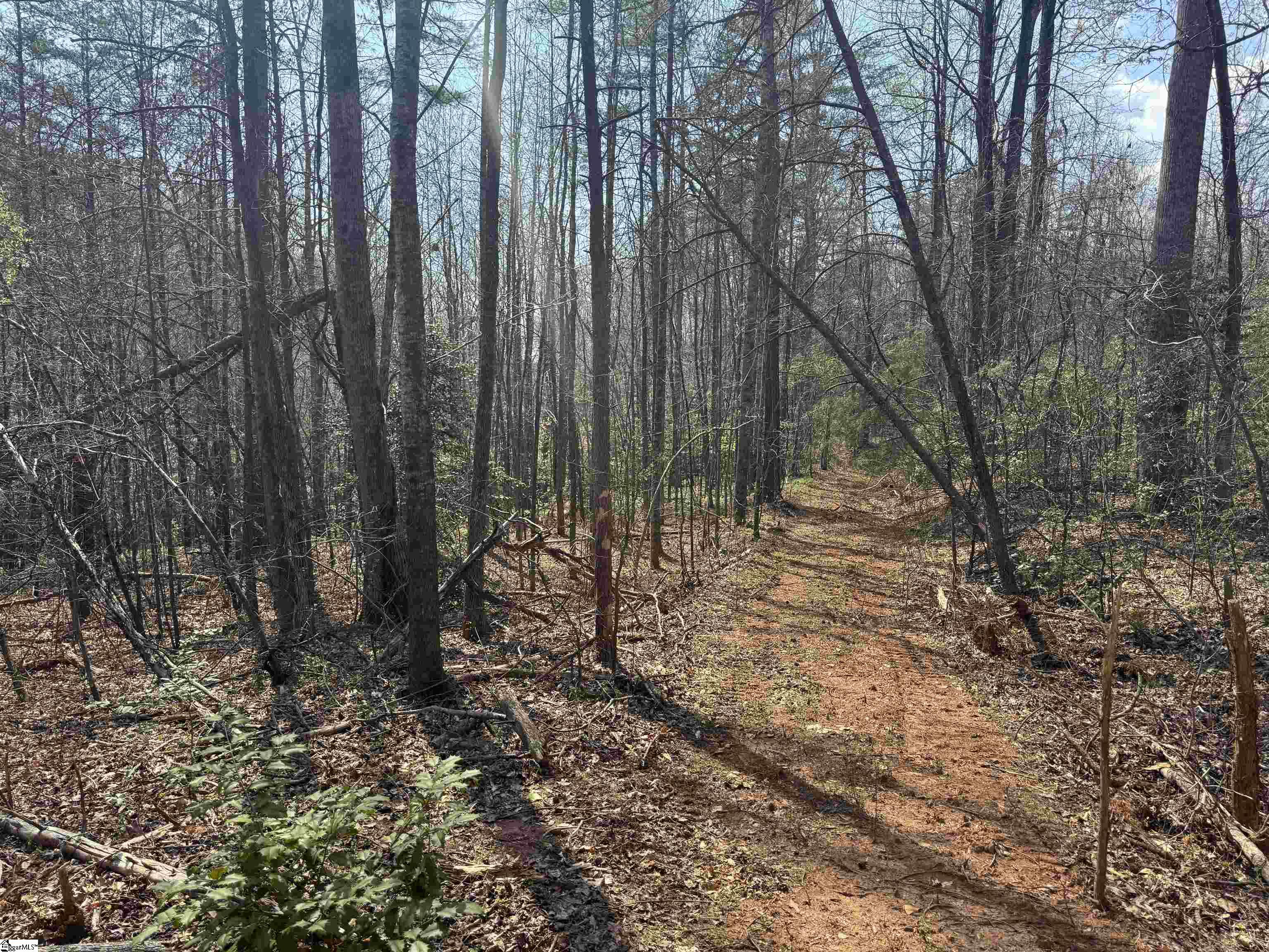 883 Goodwin Bridge Road, Travelers Rest, SC, 29690