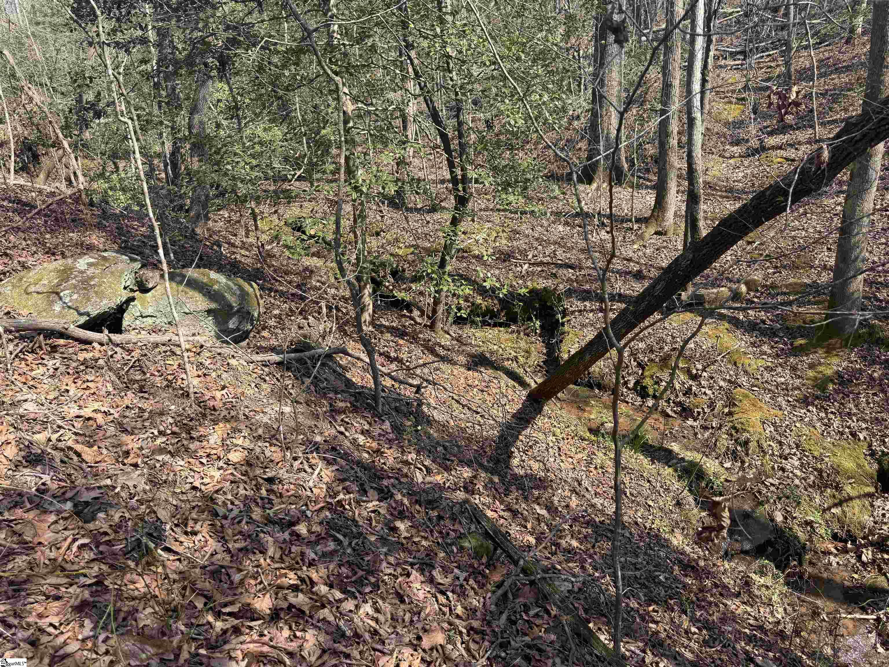 883 Goodwin Bridge Road, Travelers Rest, SC, 29690