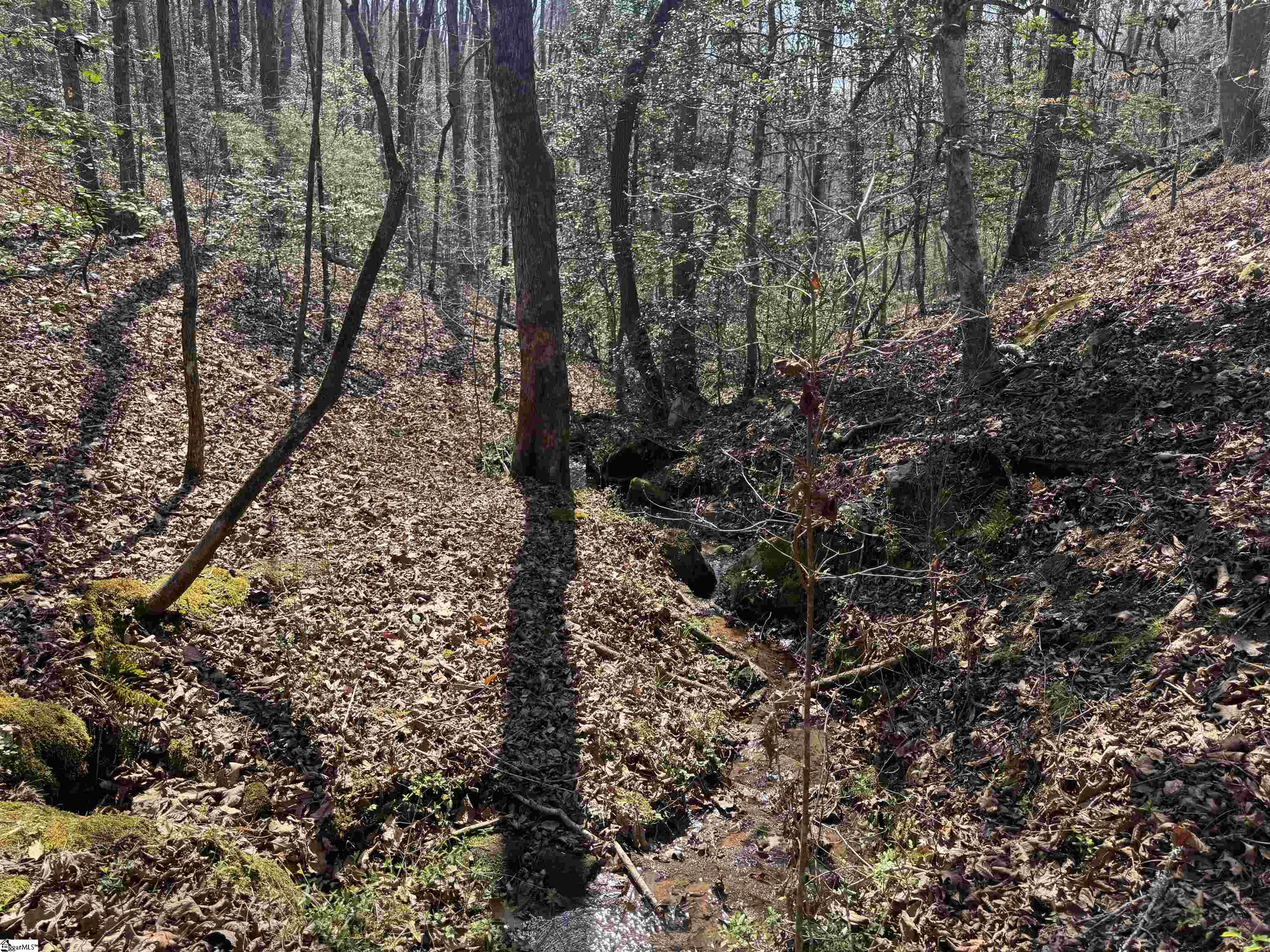 883 Goodwin Bridge Road, Travelers Rest, SC, 29690