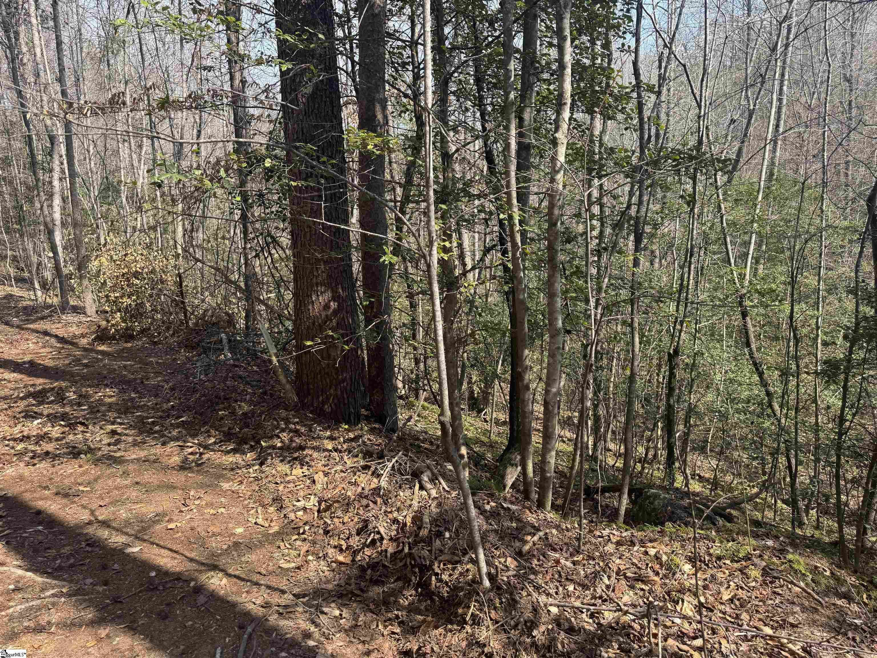 883 Goodwin Bridge Road, Travelers Rest, SC, 29690