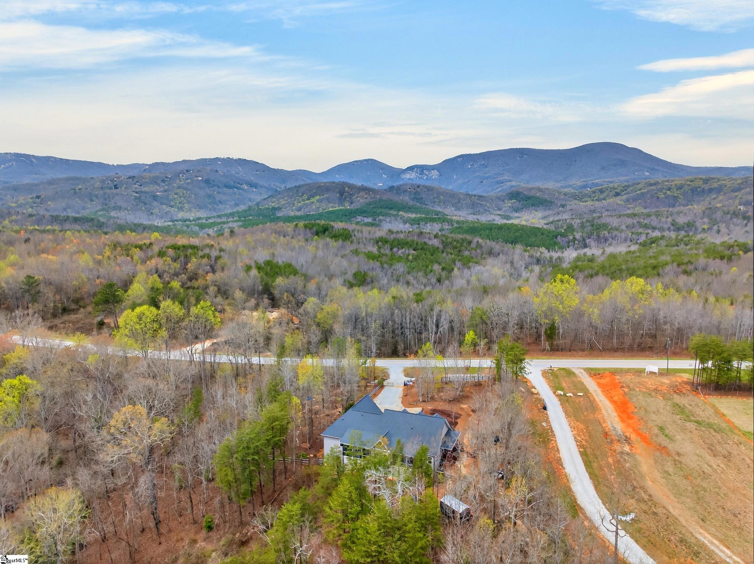 1175 Highway 11, Landrum, SC, 29356