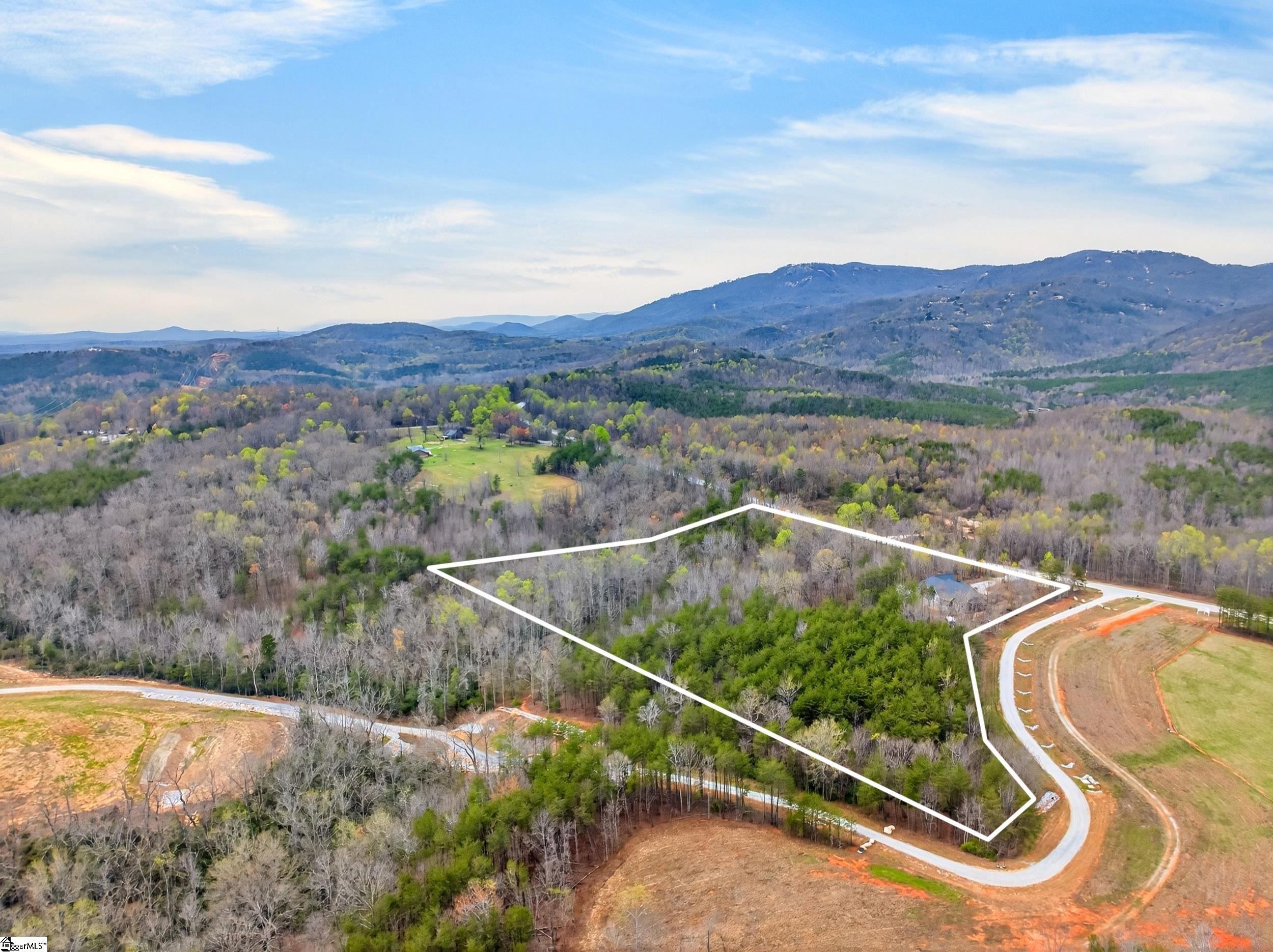 1175 Highway 11, Landrum, SC, 29356