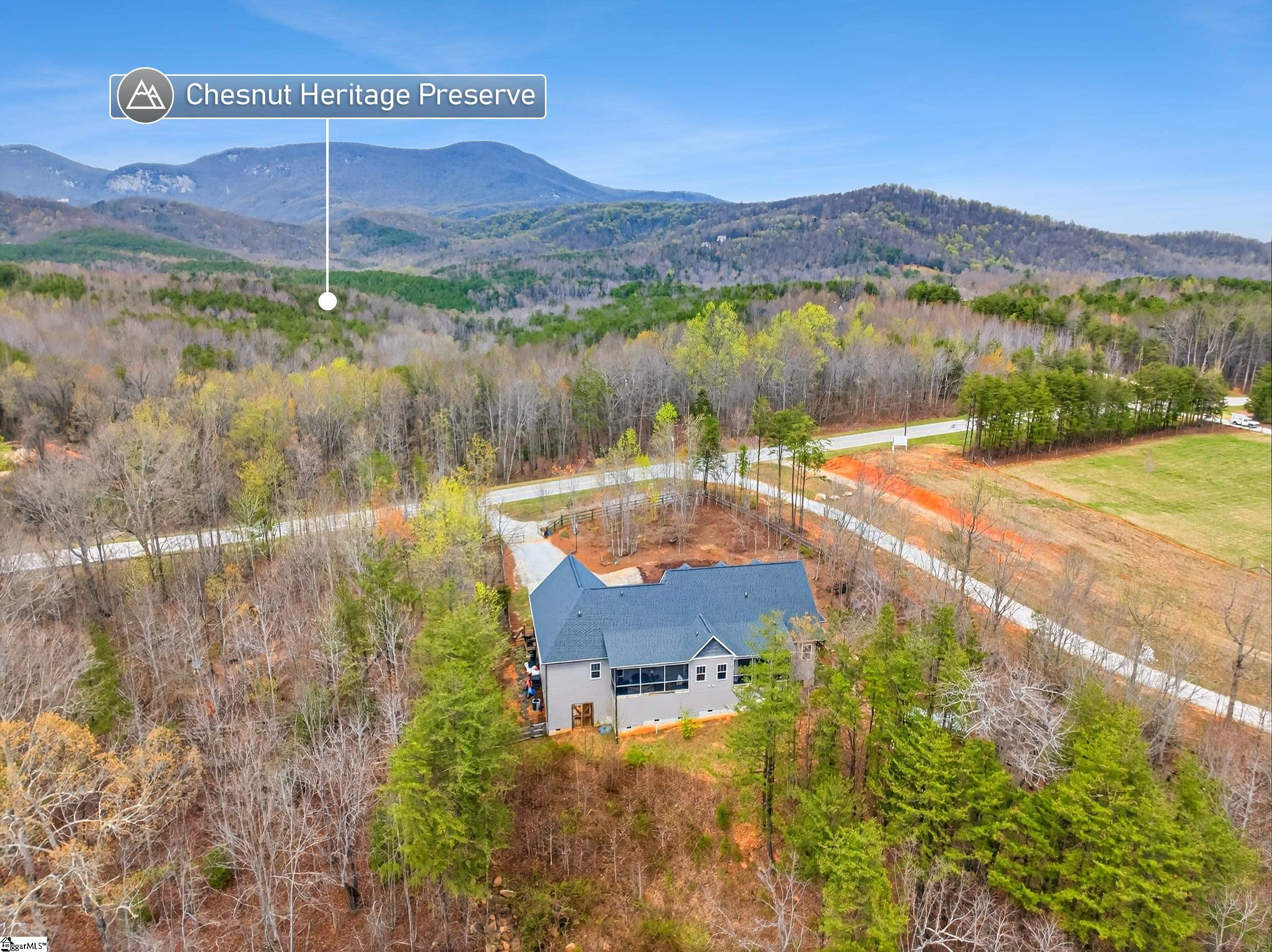 1175 Highway 11, Landrum, SC, 29356