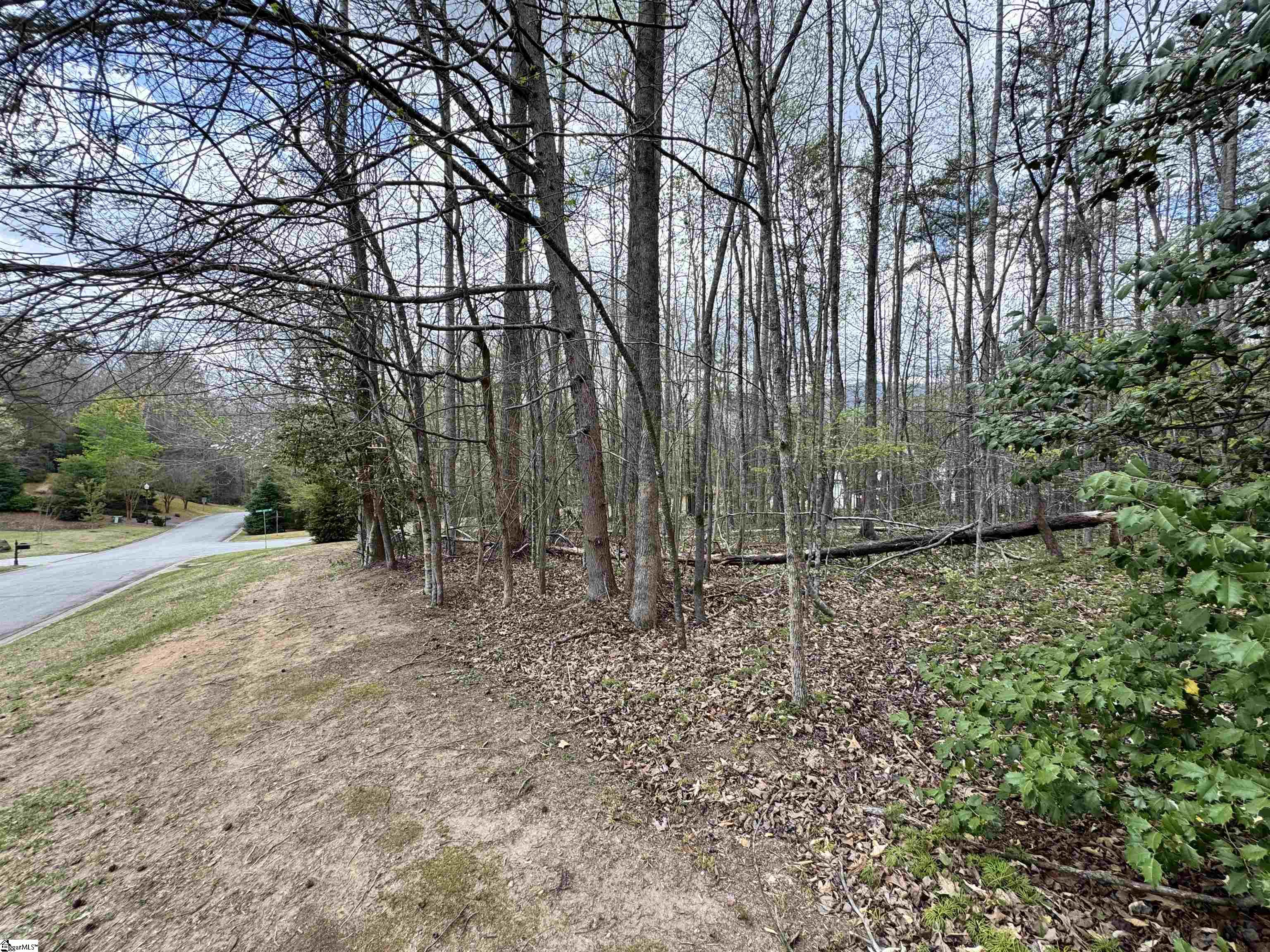 101 Autumn Leaves Way Marietta, SC 29661