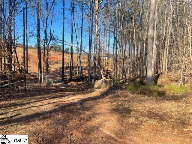 693 Elledge Road Ware Shoals, SC 29692