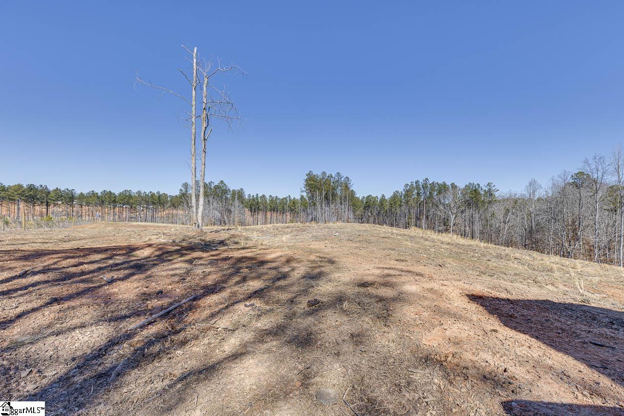 693 Elledge Road Ware Shoals, SC 29692