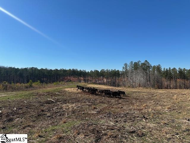 693 Elledge Road Ware Shoals, SC 29692