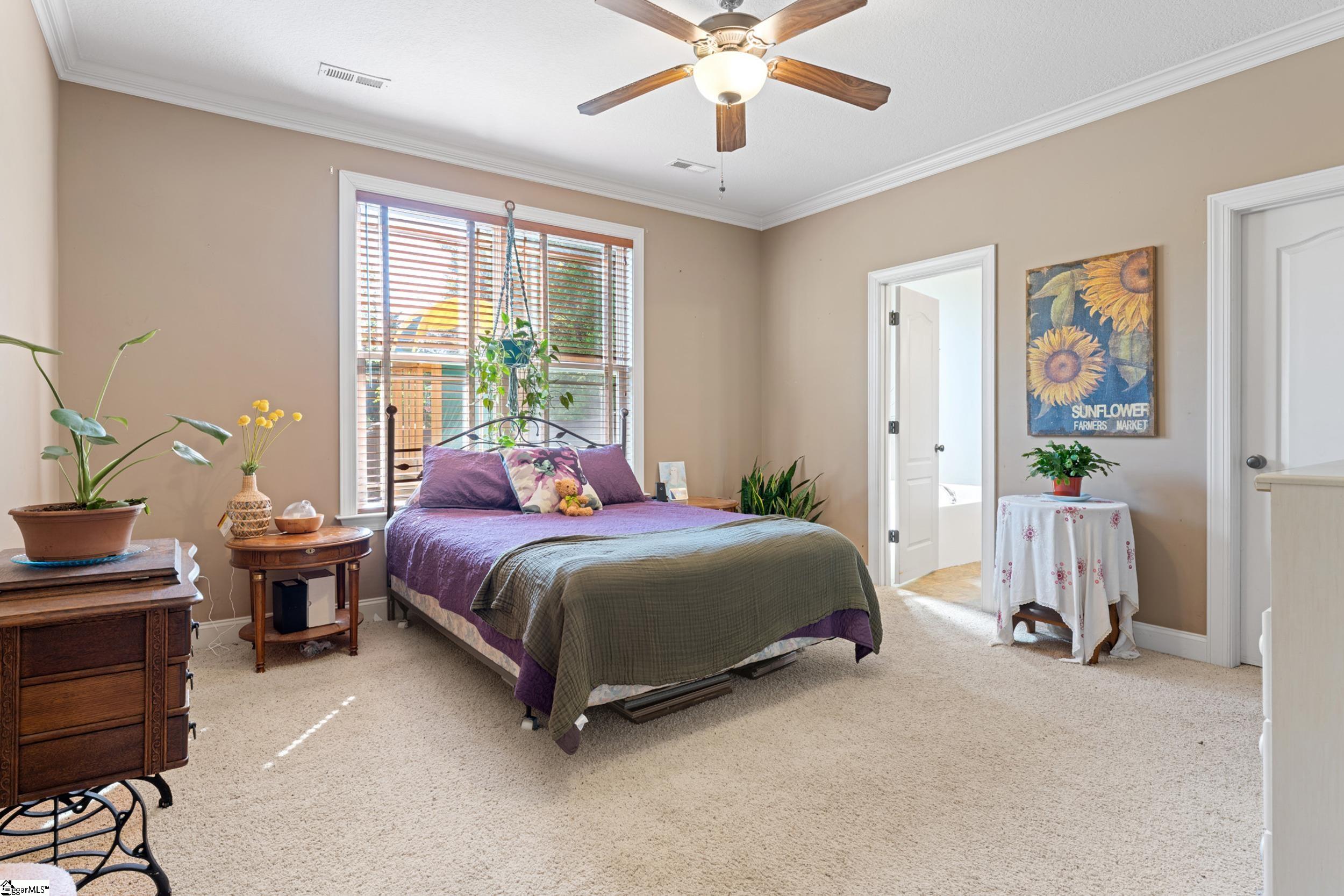 3 Dolerite Drive, Taylors, SC, 29687