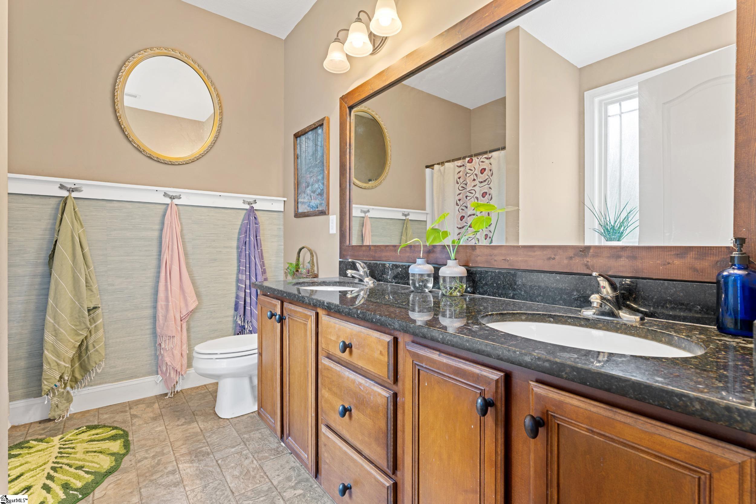 3 Dolerite Drive, Taylors, SC, 29687