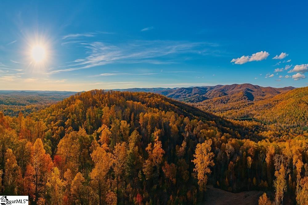 200 Chestnut Mountain Road, Travelers Rest, SC, 29660